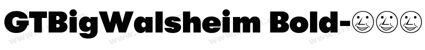 GTBigWalsheim Bold字体转换